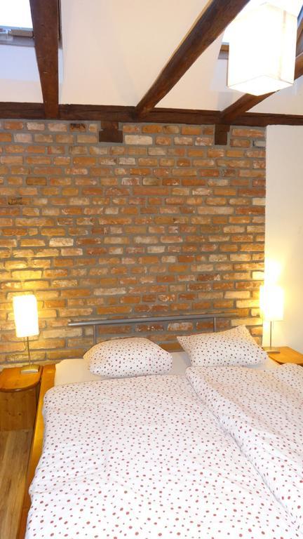 Apartmany V Podzamci Mělník 部屋 写真