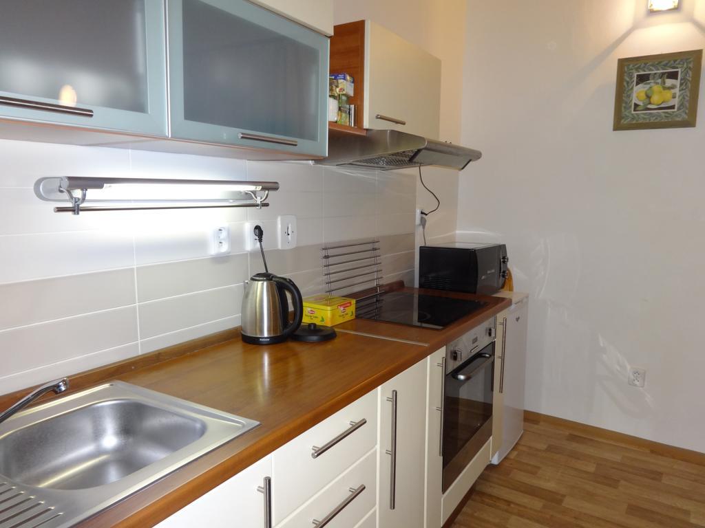 Apartmany V Podzamci Mělník 部屋 写真